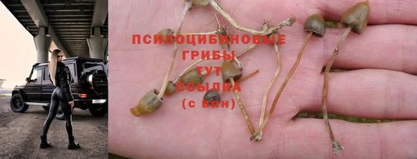 соль курить ск Карпинск